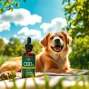 Dog resting in a field next to CBD Oil For Dog, showcasing calm and wellness.